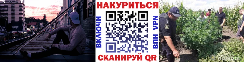 Бошки Шишки VHQ Саров